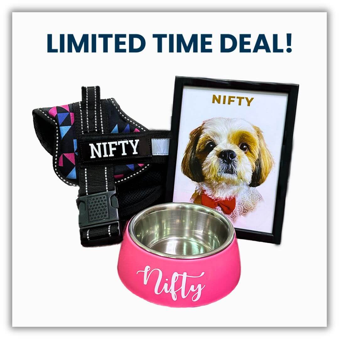 https://sassytails.in/wp-content/uploads/2023/08/Personalized-Pet-Bundle-1.jpg